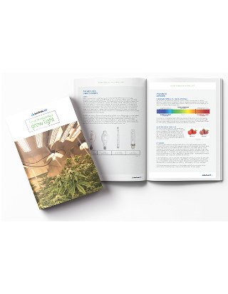 Guide to Selecting a Grow Light