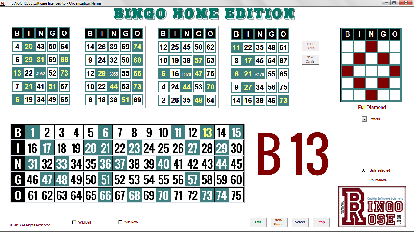 Bingo - Home Edition
