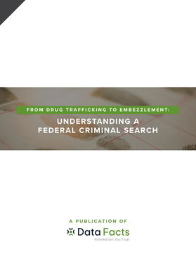 Understanding a Federal Criminal Search
