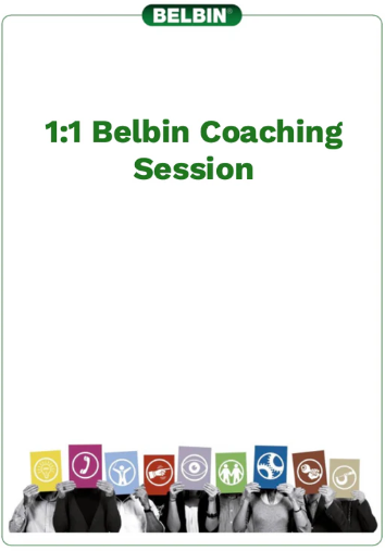 Belbin Coaching Session