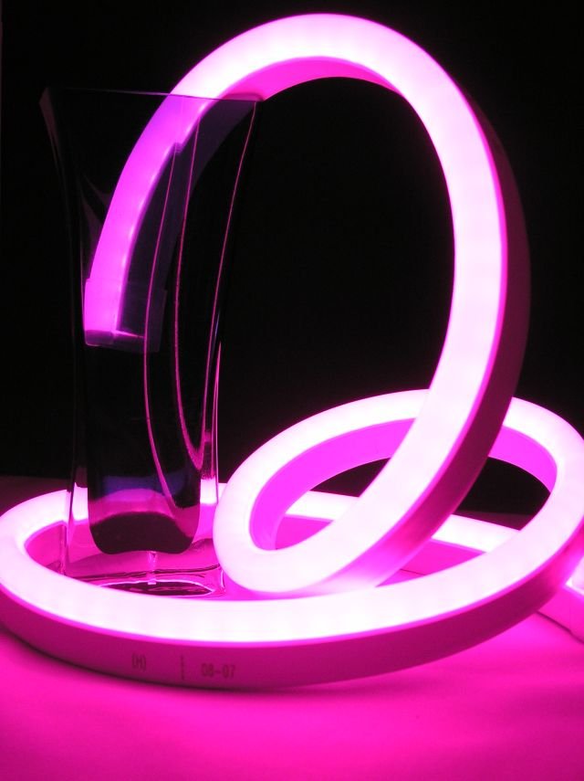 LED Neon Flex Plus