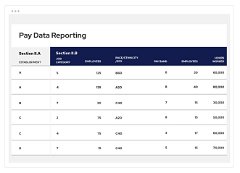 Pay Data Reporting