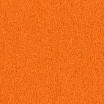 Xposure Tangerine 
