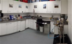Lab Testing