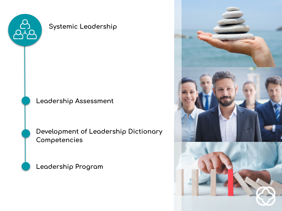 Systemic Leadership Development