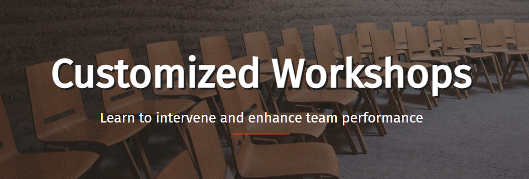 Customized Workshops