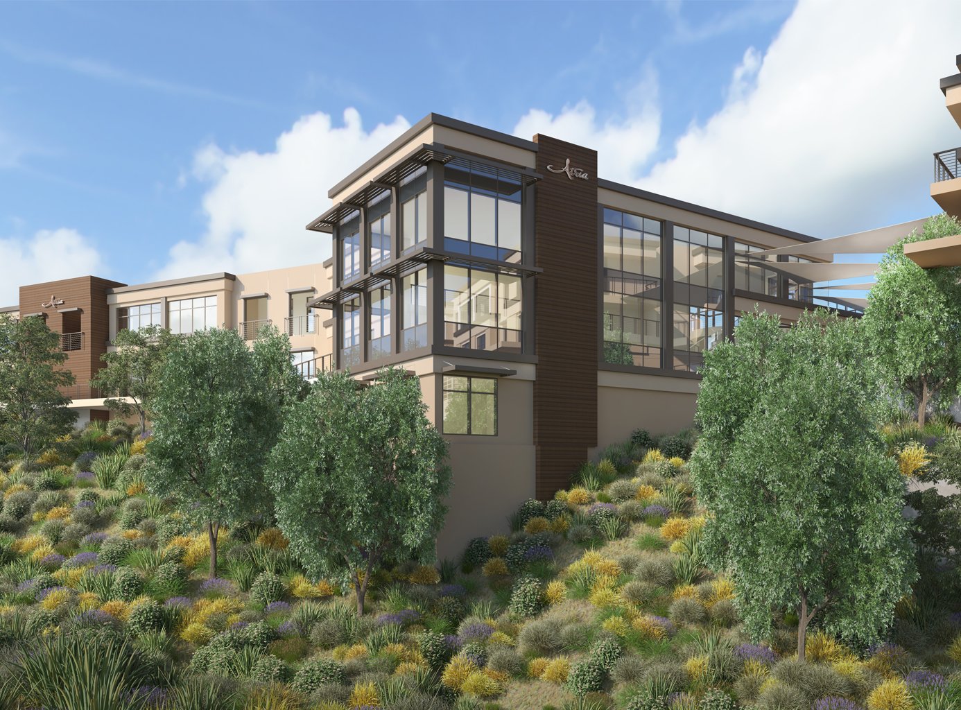 Assisted Living Architecture