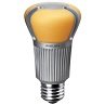 LED Dimmable A19 Light Bulb