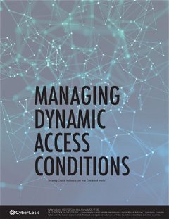 Managing Dynamic Access