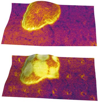 Ztherm Modulated Thermal Analysis for Asylum Research AFMs
