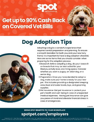 Dog Adoption Tips from Spot Pet Insurance