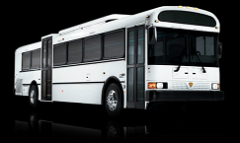 Commercial Buses