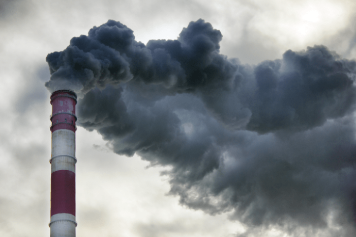 Environmental Training Courses