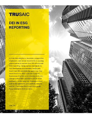 DEI in ESG Reporting White Paper