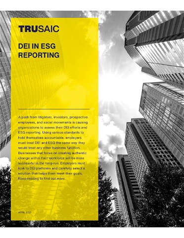 DEI in ESG Reporting White Paper