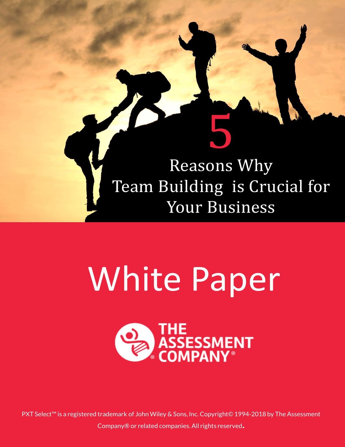 5 Reasons Why Team Building is Crucial for Your Business