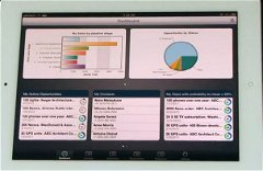Pivotal CRM for Capital Markets