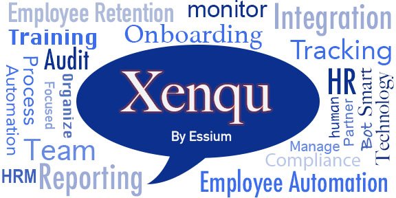 Xenqu Services