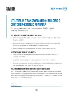 Utilities in Transformation: Building a Customer-centric Roadmap