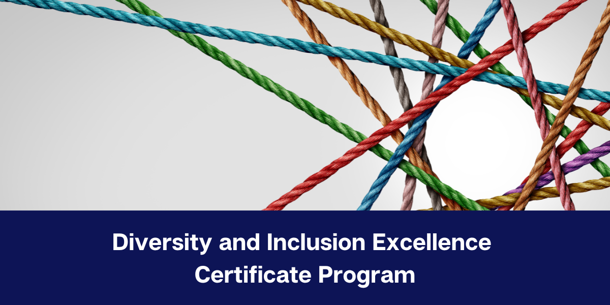 Diversity and Inclusion Excellence Certificate
