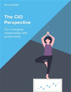 The CIO Perspective