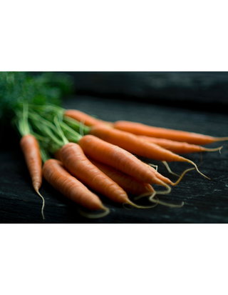 Outplacement Services: Carrot or Stick for Departing Execs?