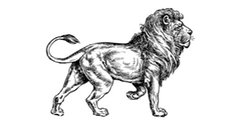 Lion's Dental Supply & Equipment