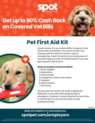 Keep Your Employees' Pets Healthy with Spot's Pet First Aid Kit