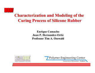 Characterization and Modeling of the Curing Process of Silicone Rubber
