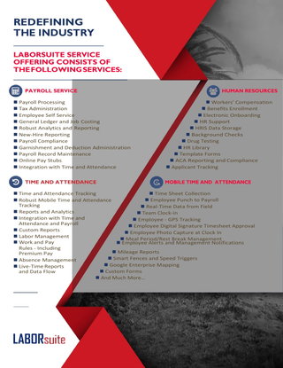 LABORsuite Service