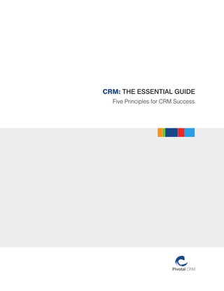 CRM: The Essential Guide