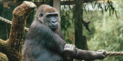 Exclusive Zoo & Aquarium Discounts for Employees