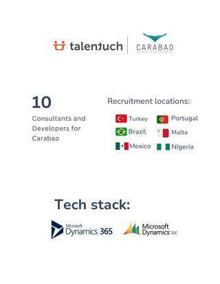 Recruiting Services for Microsoft Partner Company