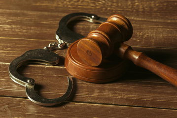 Criminal Searches