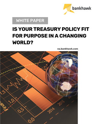 The World is Rapidly Changing. Can Your Treasury Policy Keep Up? 