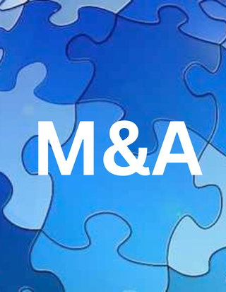 Thrive HR Consulting Mergers and Acquisitions