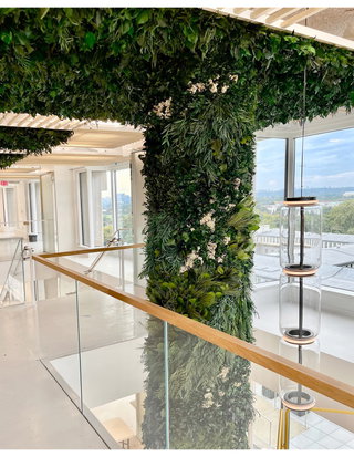 Garden on the Wall: A Workplace Transformed into Multi-Dimensional Biophilic Journey