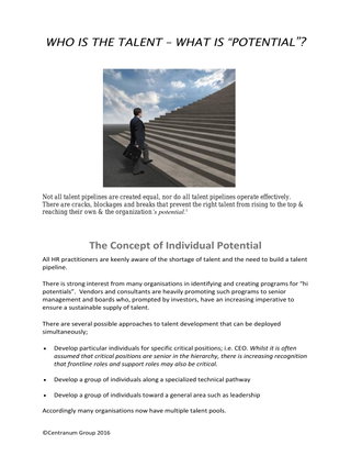 Who is The Talent - What is Potential?