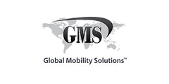 Global Mobility Solutions Inc.