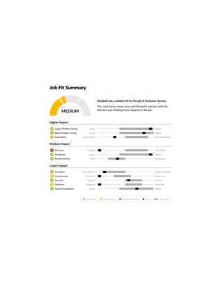 Sample Job Fit Report