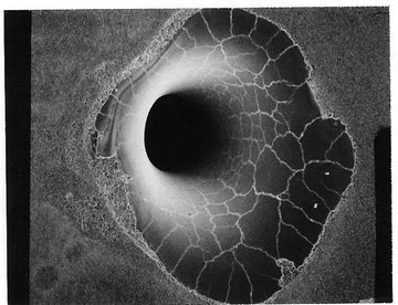SEM: Scanning Electron Microscopy