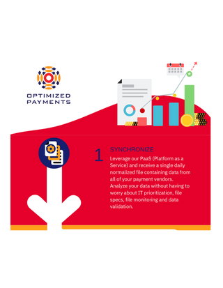 Optimized Payments Services Infographic