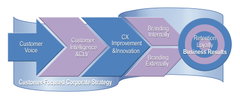 CX ROI Building Blocks Assessment & Roadmap