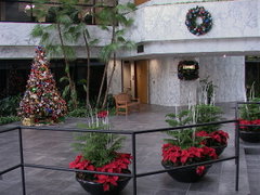 Holiday Decorations
