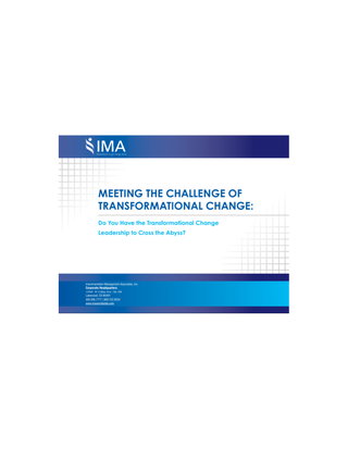 Meeting the Challenge of Transformational Change: Do You Have the Leadership to Cross the Abyss?
