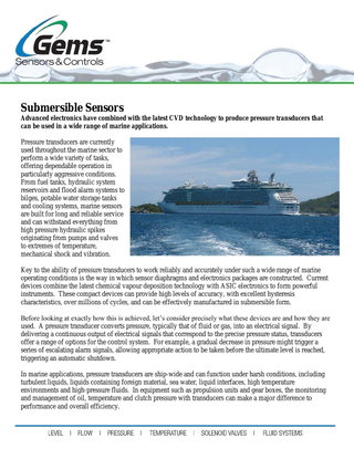Submersible Sensors