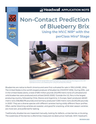 Real-Time, Non-Contact Brix Prediction and Grading of Blueberries with Hyperspectral Scanning