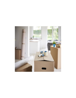 Household Goods Constraints and Challenges in 2022 & Looking Ahead