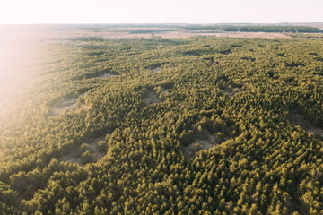 Carbon Credits