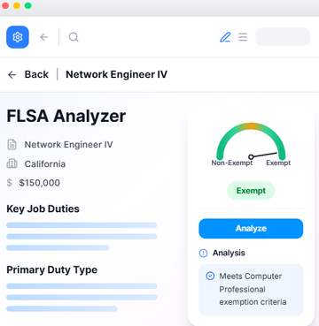 FLSA Analyzer/Audit Tool